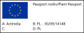 Paszport aktinidii ostrolistnej
