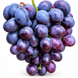 Winorośl 'Centurion' (Vitis)              